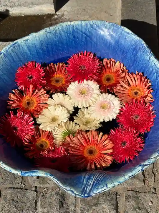 川越八幡宮(埼玉県)