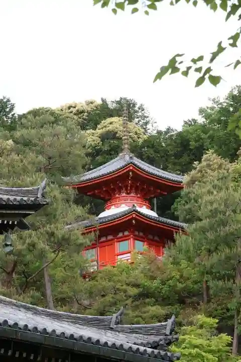 今熊野観音寺(京都府)