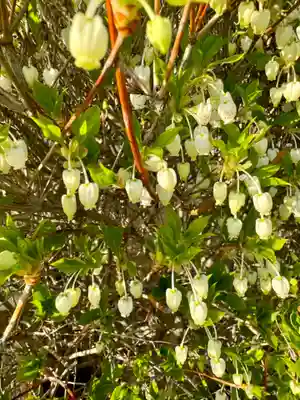西住院(京都府)