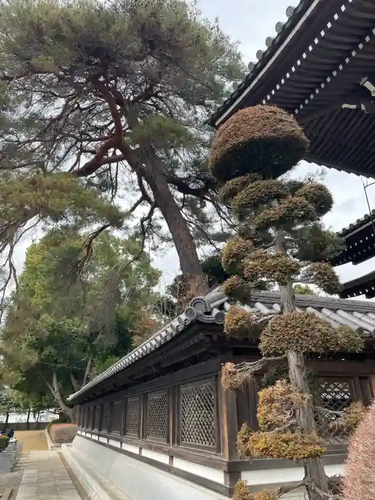 日乗院の{uncategorized: "未分類", other: "その他", undefined: "問題あり", building: "その他建物", grave: "お墓", sacred_gate: "鳥居", guardian: "狛犬", statue: "像", buddha: "仏像", history: "歴史", nature: "自然", garden: "庭園", animal: "動物", pagoda: "塔", temizu: "手水舎", mountain_gate: "山門・神門", sanctuary: "本殿・本堂", subordinate: "末社・摂社", art: "芸術", scenery: "景色", jizo: "地蔵", ema: "絵馬", goshuin: "御朱印", omikuji: "おみくじ", items: "授与品その他", amulet: "お守り", goshuincho: "御朱印帳", eats: "食事", festival: "お祭り", votive_dance: "神楽", shichigosan: "七五三参", wedding: "結婚式", experience: "体験その他", initially: "初詣", around: "周辺", anti_infection: "感染症対策"}