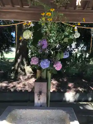 夜比良神社の手水舎