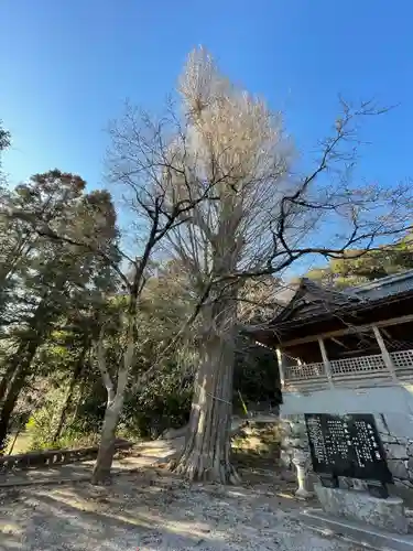 香春神社の自然