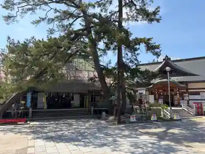 白山神社の{uncategorized: "未分類", other: "その他", undefined: "問題あり", building: "その他建物", grave: "お墓", sacred_gate: "鳥居", guardian: "狛犬", statue: "像", buddha: "仏像", history: "歴史", nature: "自然", garden: "庭園", animal: "動物", pagoda: "塔", temizu: "手水舎", mountain_gate: "山門・神門", sanctuary: "本殿・本堂", subordinate: "末社・摂社", art: "芸術", scenery: "景色", jizo: "地蔵", ema: "絵馬", goshuin: "御朱印", omikuji: "おみくじ", items: "授与品その他", amulet: "お守り", goshuincho: "御朱印帳", eats: "食事", festival: "お祭り", votive_dance: "神楽", shichigosan: "七五三参", wedding: "結婚式", experience: "体験その他", initially: "初詣", around: "周辺", anti_infection: "感染症対策"}