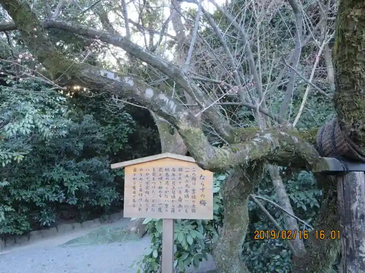 熱田神宮の自然