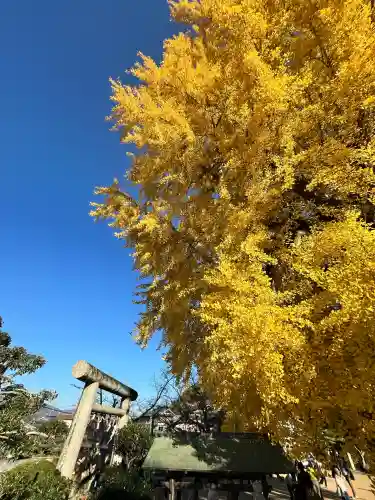 丹生酒殿神社(和歌山県)