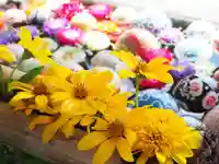 今市報徳二宮神社の手水舎