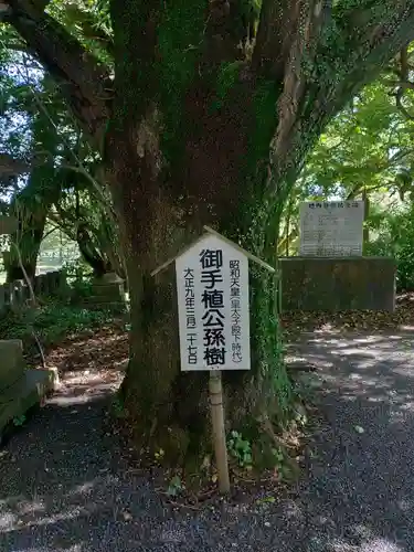 神柱宮(宮崎県)