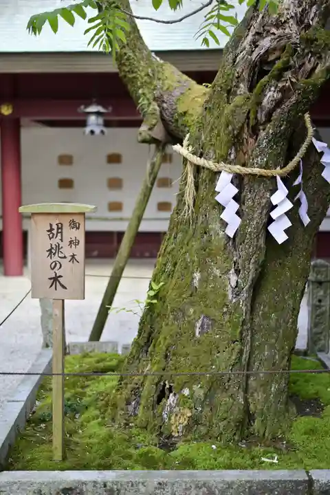 笠間稲荷神社の庭園