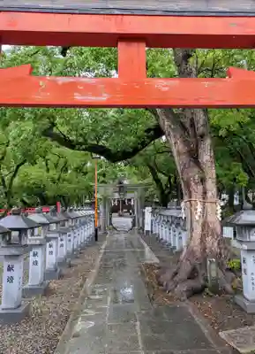信太森神社（葛葉稲荷神社）(大阪府)