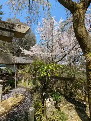 岩屋寺の自然