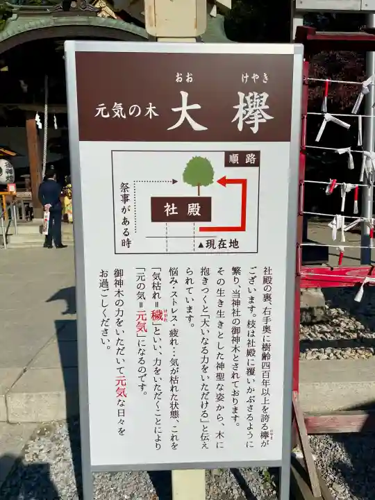 鎮守氷川神社(埼玉県)