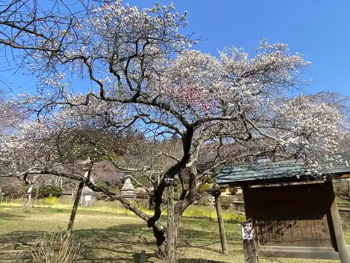 志波彦神社・鹽竈神社(宮城県)