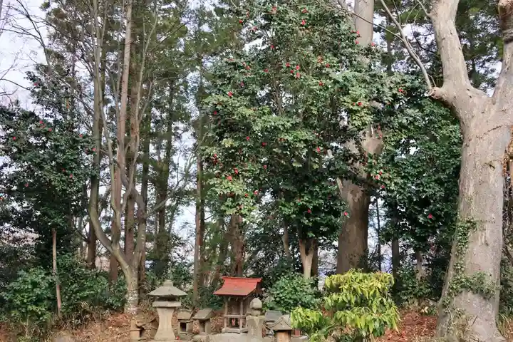 阿久津「田村神社」(郡山市阿久津町)旧社名:伊豆箱根三嶋三社の末社・摂社