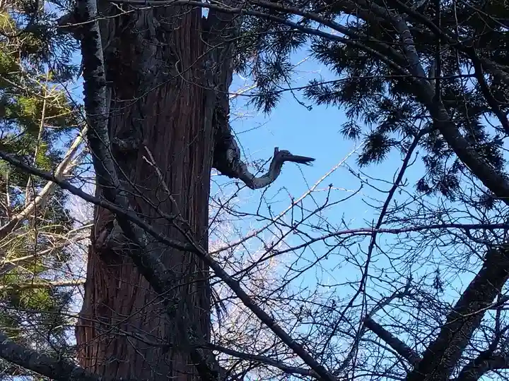 加賀神明宮(石川県)