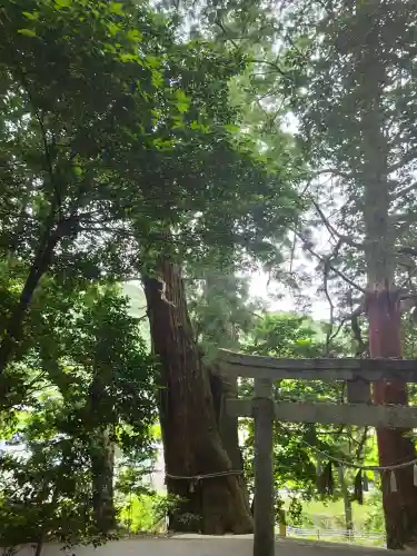 高岡神社(岡山県)