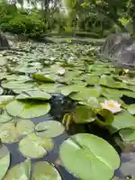 大生郷天満宮の自然