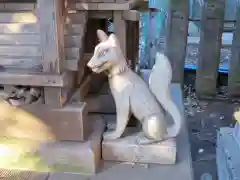 北澤八幡神社の狛犬