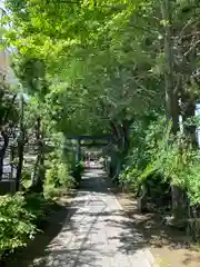 越谷香取神社(埼玉県)