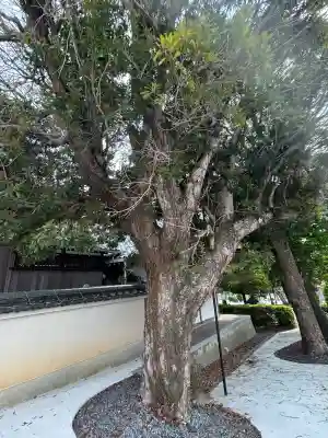 五字神社(大阪府)