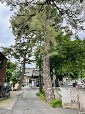 医王寺(埼玉県)