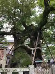 中山神社(岡山県)