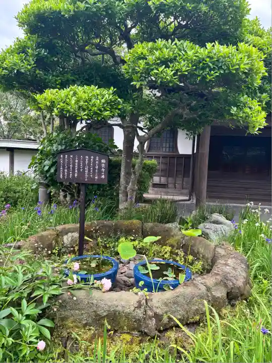 極楽寺(霊鷲山感應院極楽律寺)(神奈川県)