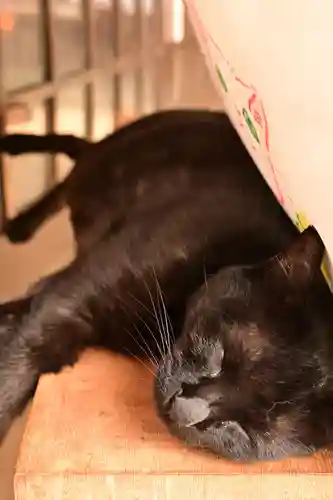 王子神社(徳島県)