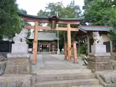 出雲大社相模分祠の鳥居