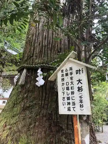 丹生川上神社（中社）の自然