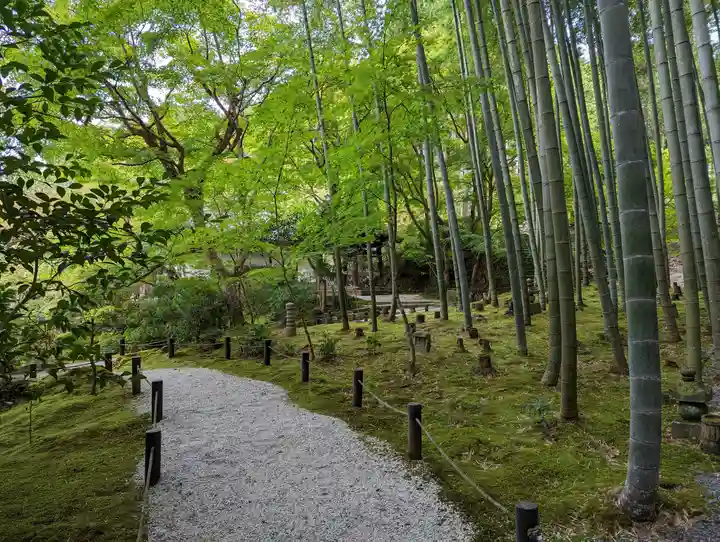 圓光寺(京都府)