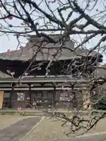 長勝寺の本殿・本堂