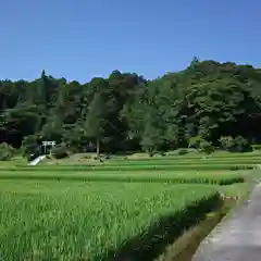 志多備神社の自然