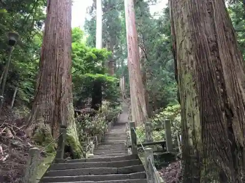 室生寺の自然