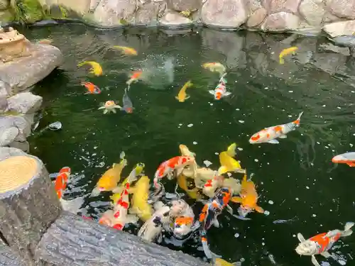 大野神社の動物