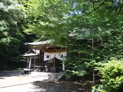 秦神社(高知県)