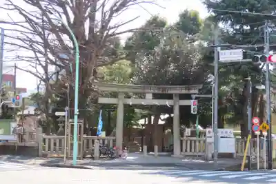 鳩森八幡神社の鳥居