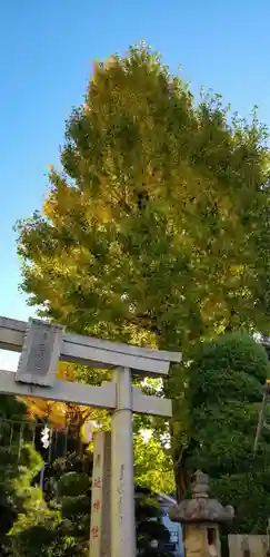 青砥神社の鳥居
