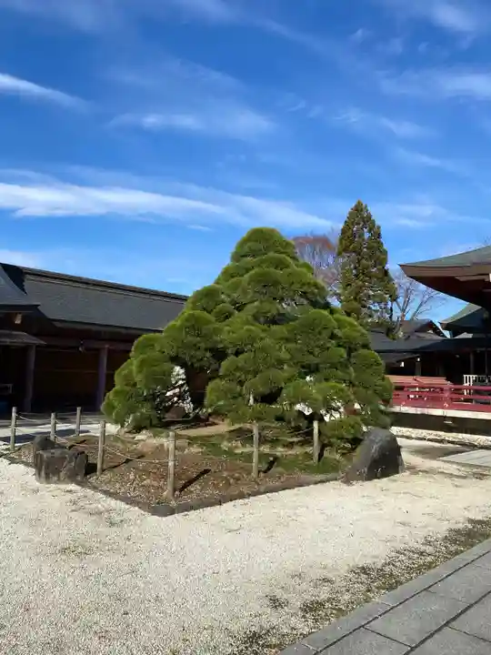 笠間稲荷神社の庭園