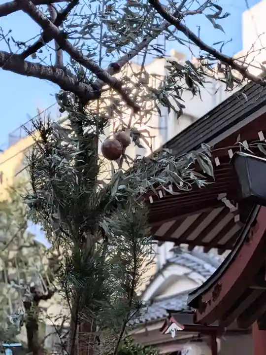 秋葉神社(東京都)