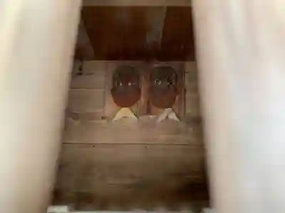 熊野神社のその他建物