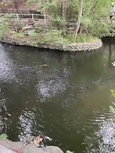 白石神社(北海道)