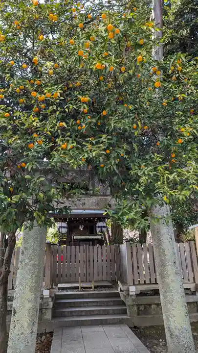 北野天満宮(京都府)