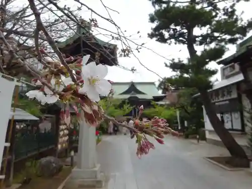 桜神宮の本殿・本堂