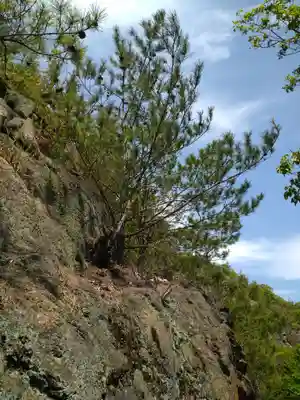 弁財天宮の自然