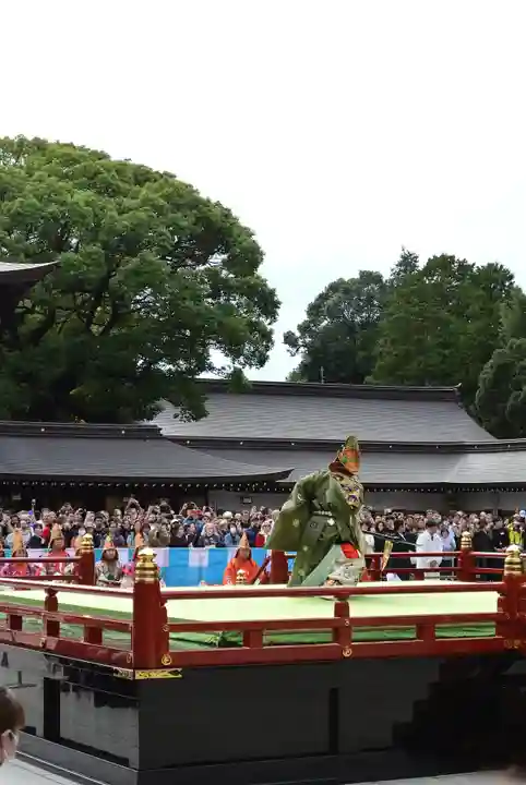 明治神宮(東京都)