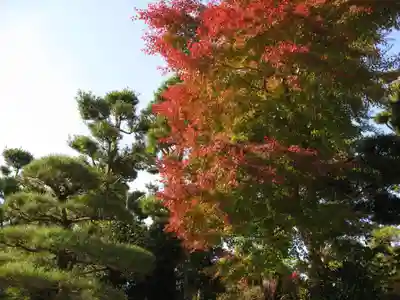 成田山新勝寺(千葉県)