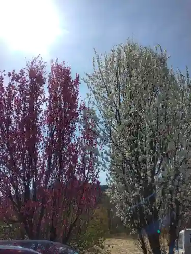 実相寺(山梨県)