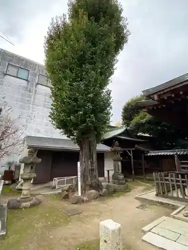 富士浅間神社のその他建物