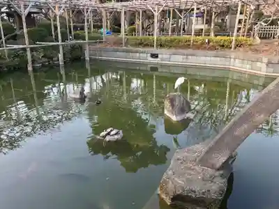 亀戸天神社(東京都)