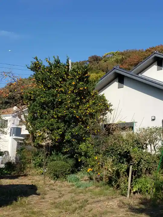日枝神社の自然